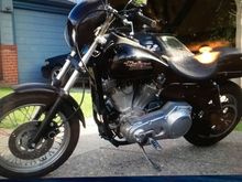 Figured i show the first day I brought her home to where she is now.