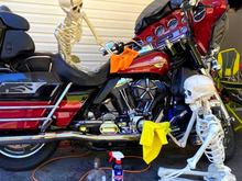 Bet they work cheap and don't eat much