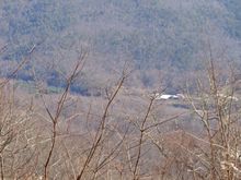Barren trees down thru Peppers Creek