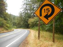 Hwy 36 deer, pigs, bear, and nitwits...