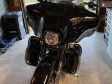 Butterflies were out all weekend 