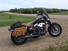 Denim black and brown