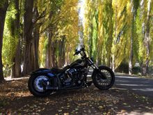 The Salmon Ponds, Derwent Valley, Tasmania.