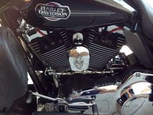 Custom engraved horn cover