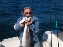 45 lb king
