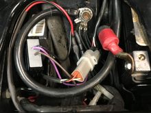 Under the seat, little black/gray box is the equalizer, just ground the black and added quick connectors to the rear running wires.