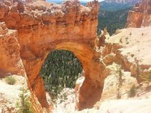 Bryce