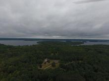 My little hideout in the Woods