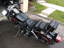 And my 1981