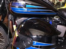 Scalloped stripes to match my Springer