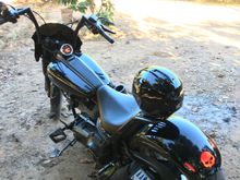 jlmr 2016-02-25 11:10:13