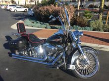 Another extremely rare sighting of a Black Harley.  😂