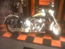 the day i brought her home! 11/6/2010