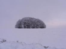 cranborne chase dec2010