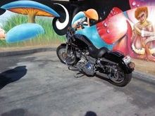 My Dyna 2007