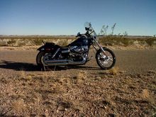 Rock Daisy Rd