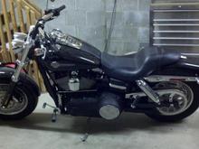 Fat Bob