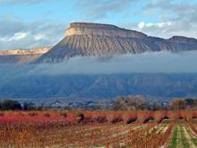 391999 2285555250643 1001748307 32018148 858621814 n