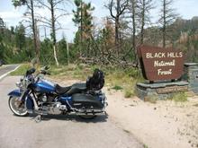 Black Hill National Forrest