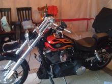 IMAG0205