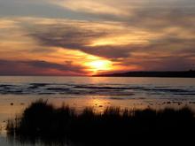lake MI