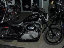 Harley16