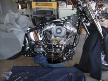 Into the cam chest with TW21's, RevTech DFO