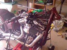 The beginning of the makeover