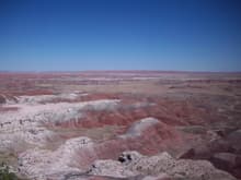 In the Petrified Forest Painted Desert
