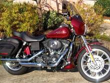 My FXDXT