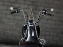 sissy bar by RudeDog