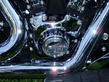 Fatboy and Shuvelhead 002