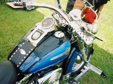 Bonnie Blue Pics
