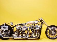 dual shovel