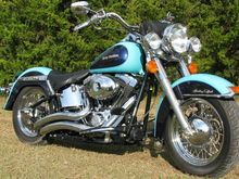 Harley6!