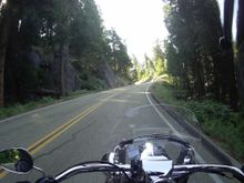 On 198 into Sequoia