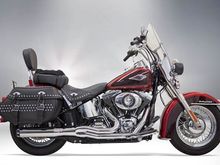 Our bike from the Bassani catalog.