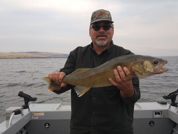 11lb'r ftom last fall.