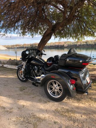 18 Triglide in Black Tempest