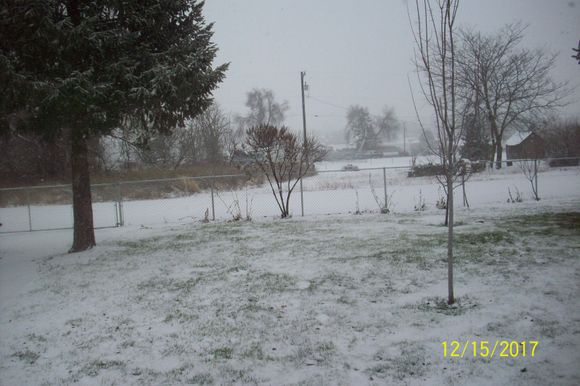 Snowin like a mofo here where I am in Washington state