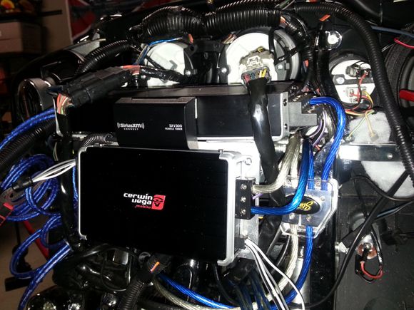 The bulb just clears the bottom of the cv amp. The bulb i have sticks out quite a bit out the back of the bucket.