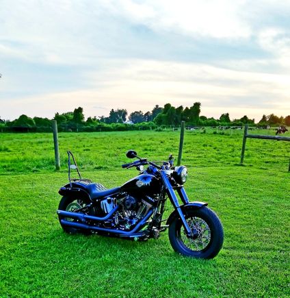 17 FLSS - Black Beauty