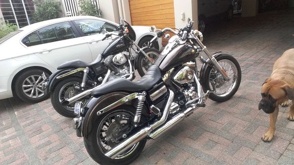 My FXDC & my FXD...& my dog :)