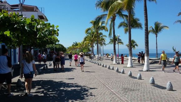 The Melacon boardwalk.