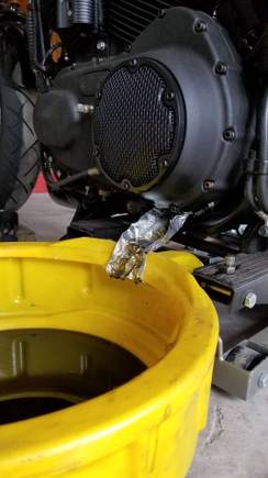 
This whole project started because I needed a new Derby cover gasket - you can see the evidence of my last one leaking by how oily the bottom of the primary cover is
