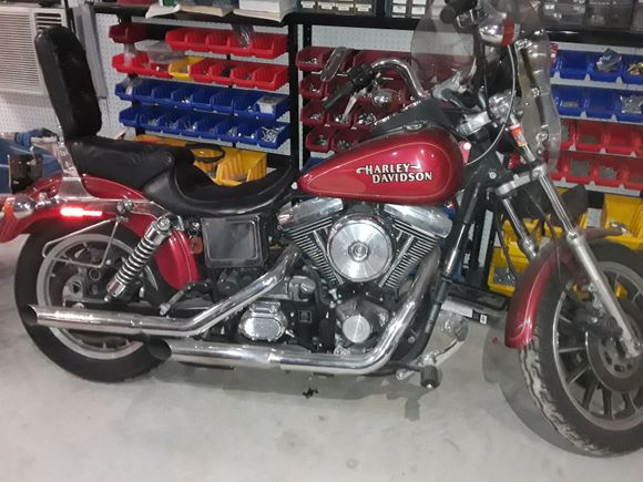 Evolution motor?