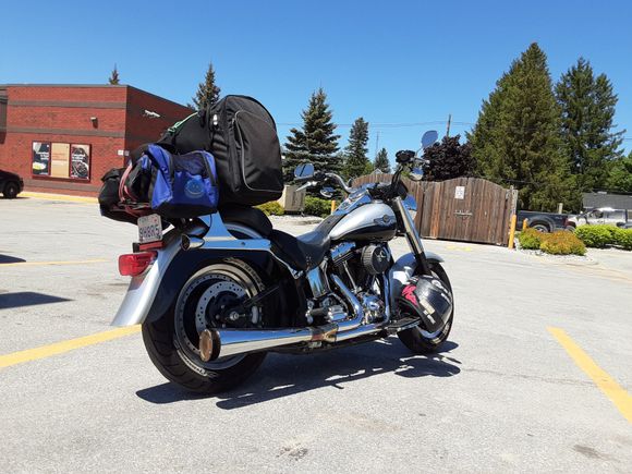 Tried out the sissy bar mounted luggage bag thingy. Excellent product! Put 300km on the new top end.