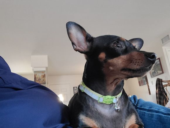 Miss Daisy