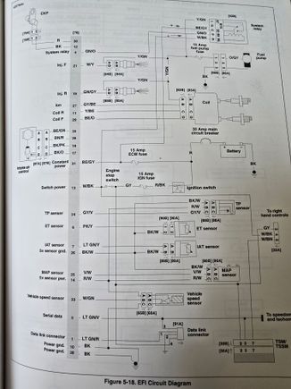 ECM