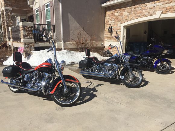 All three ready to go today.  